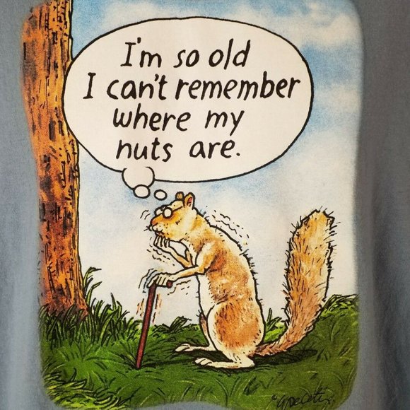Gildan Blue Short Sleeve So Old Squirrel Missing Nuts Graphic T-Shirt Mens Large - Picture 9 of 9